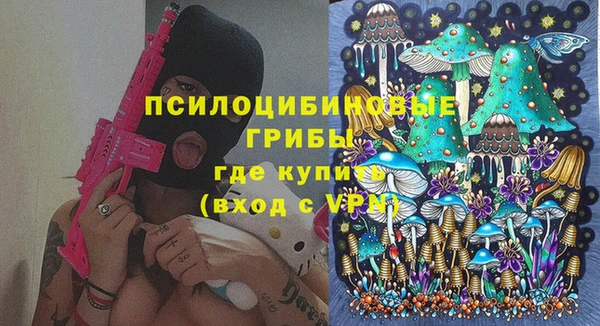 синтетический гашиш Новодвинск