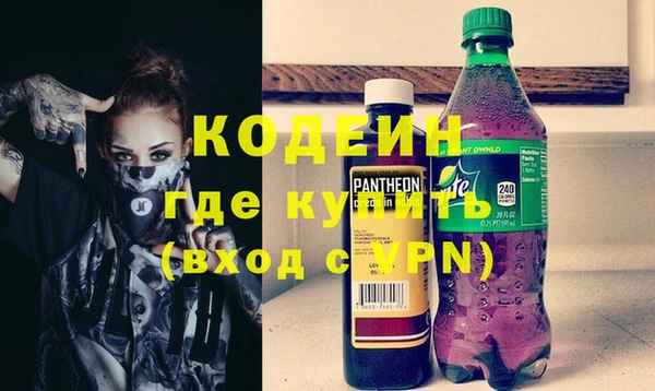 хмурый Няндома