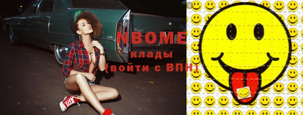 ECSTASY Пересвет