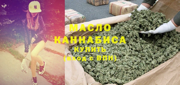 хмурый Няндома