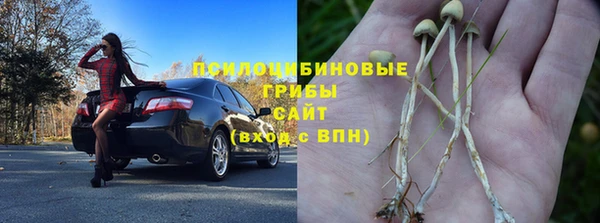 хмурый Няндома