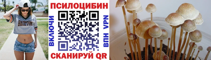 Галлюциногенные грибы Psilocybe  гидра ТОР  Нариманов 